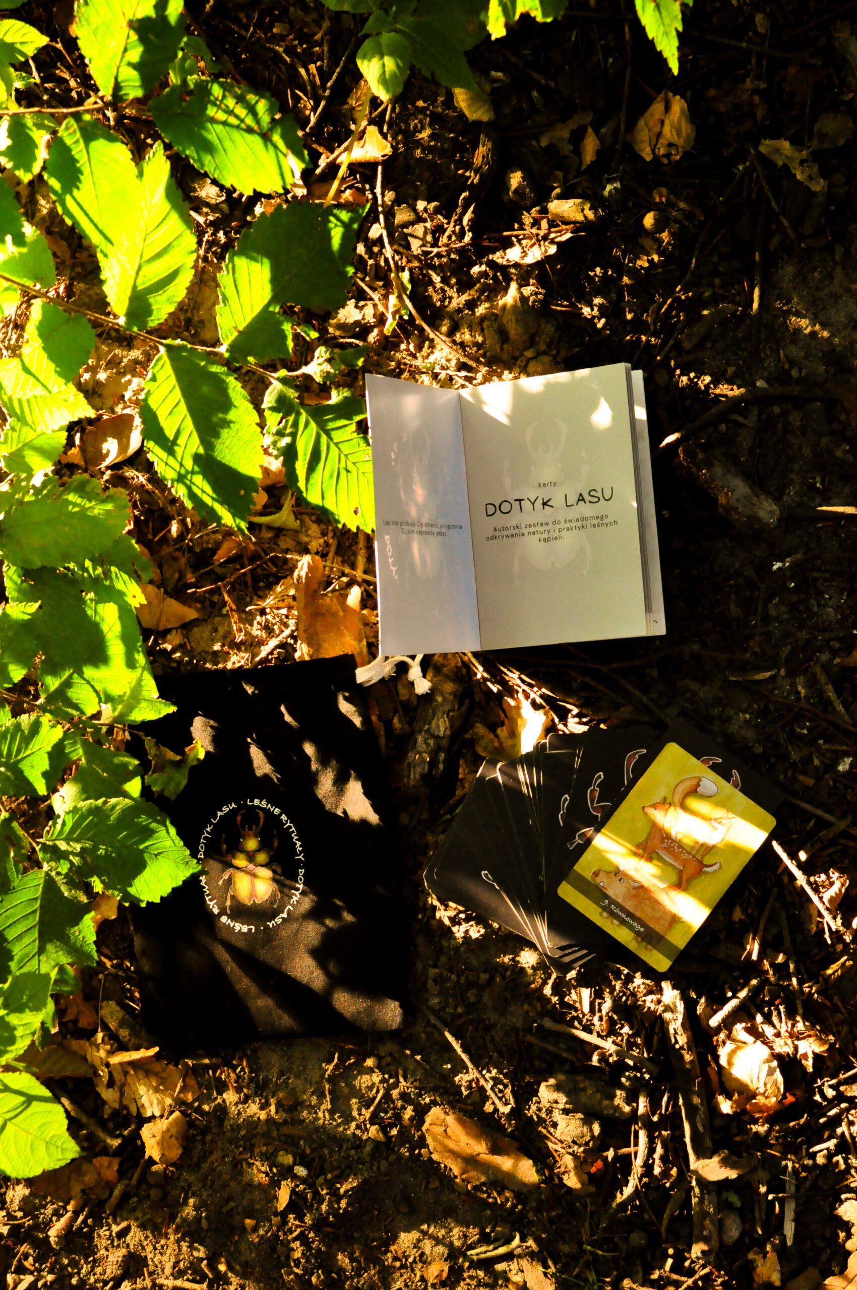 las natura karty las natura karty